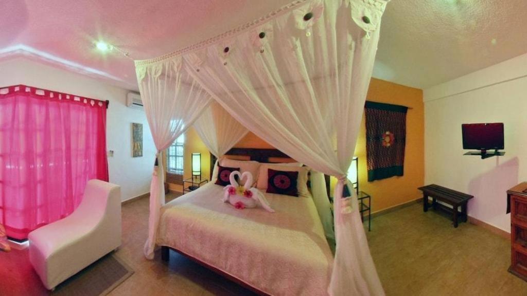 Flamingo Hotel Cozumel Buitenkant foto